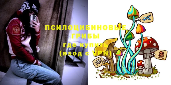 мяу мяу мука Абаза