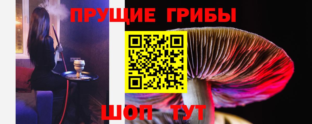 Псилоцибиновые грибы мухоморы Сорочинск